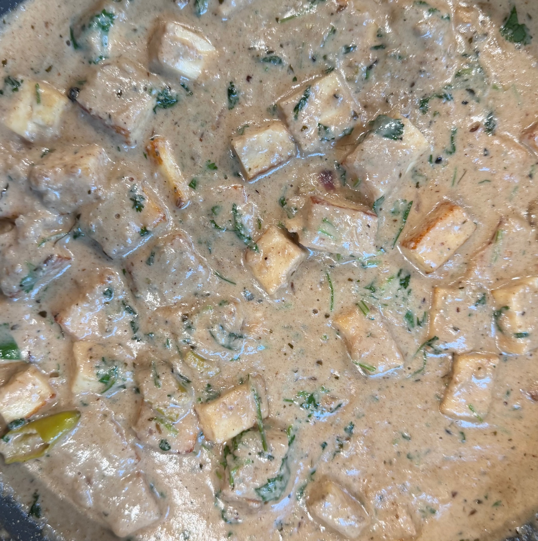 Paneer in a creamy cashew curry