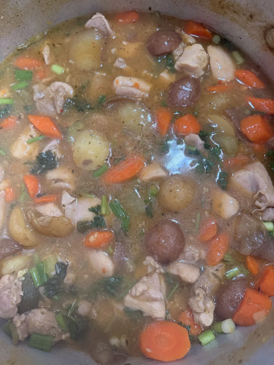 Chicken and potato stew with carrots